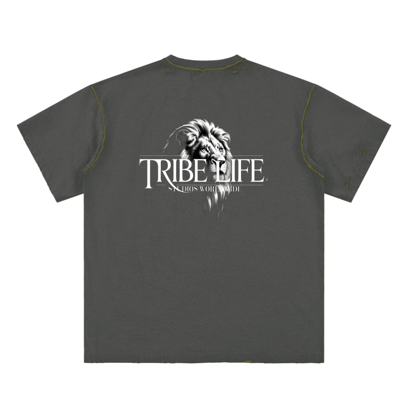 Hand-frayed Reversible T-shirt