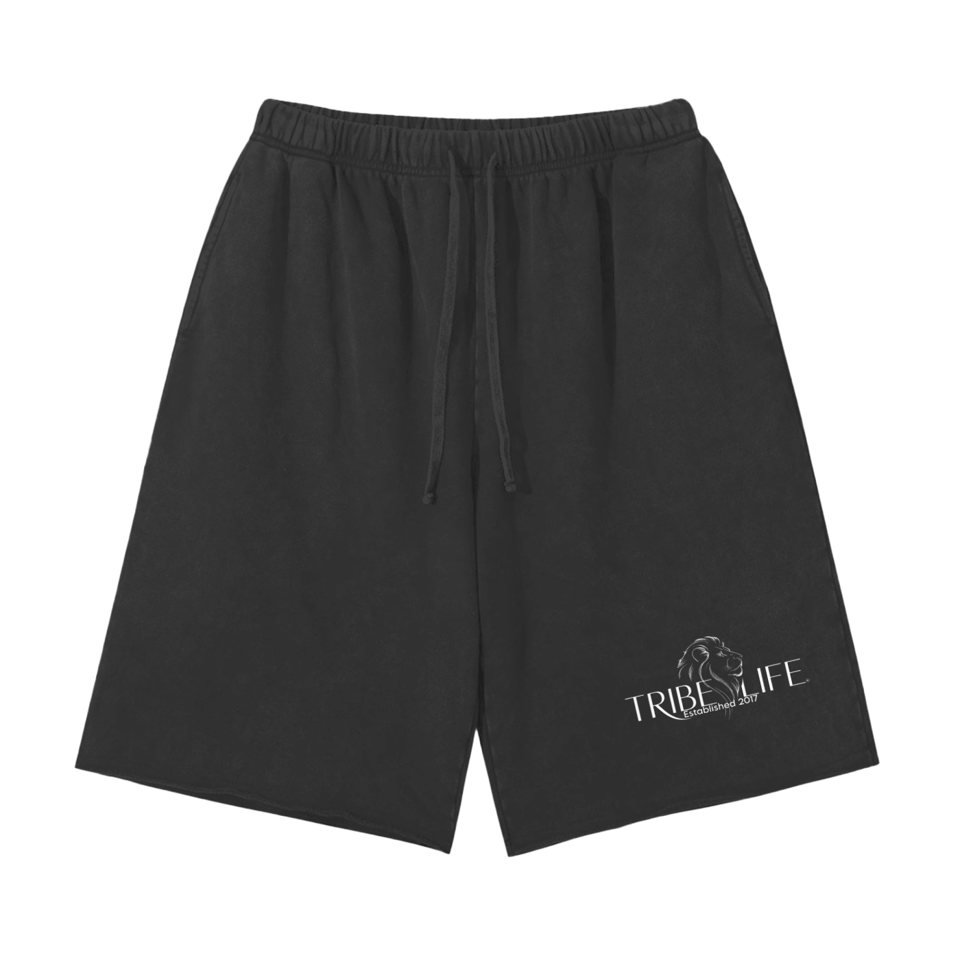 Snow Washed Raw Hem Shorts