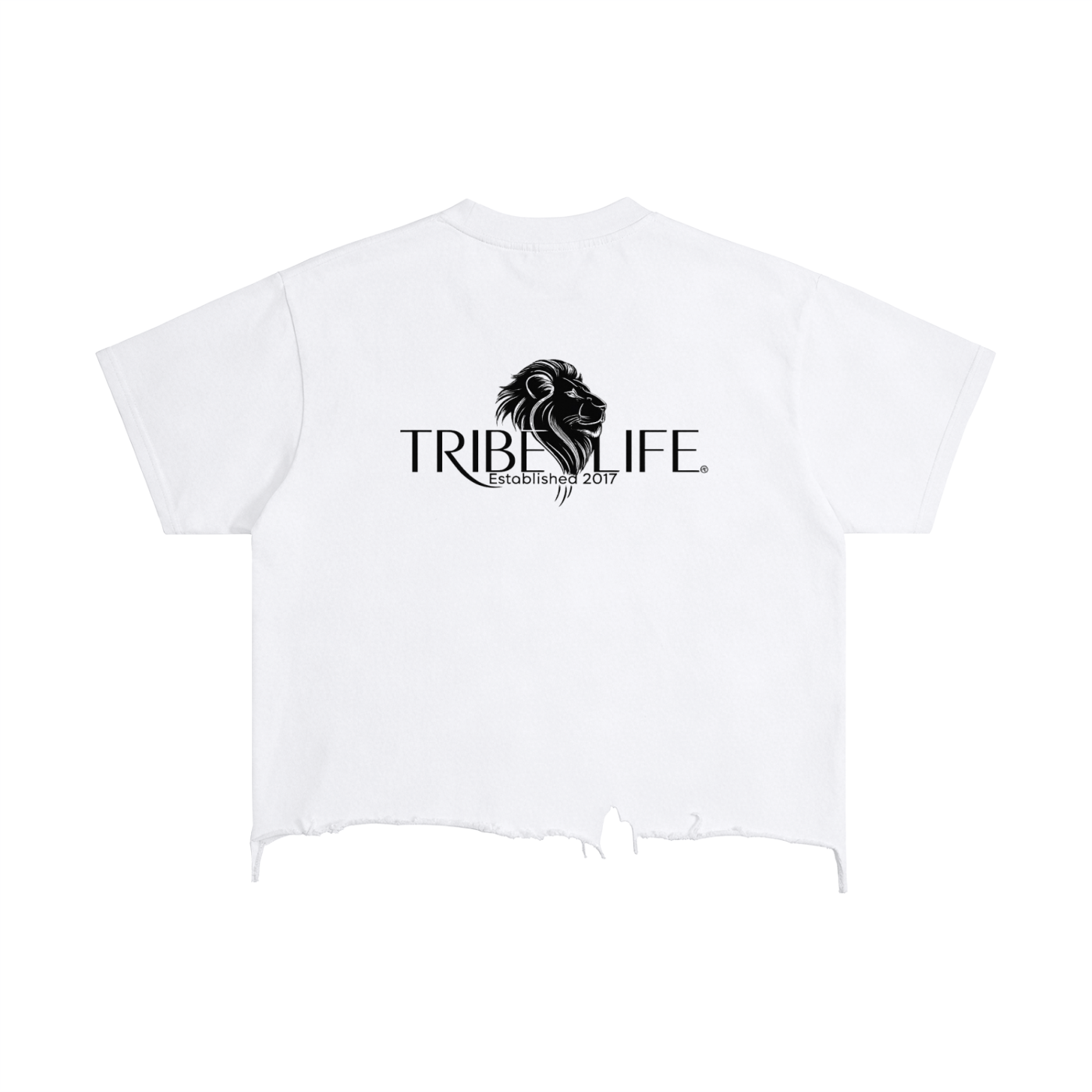 Vintage Wash Boxy Distressed Hem T-Shirt