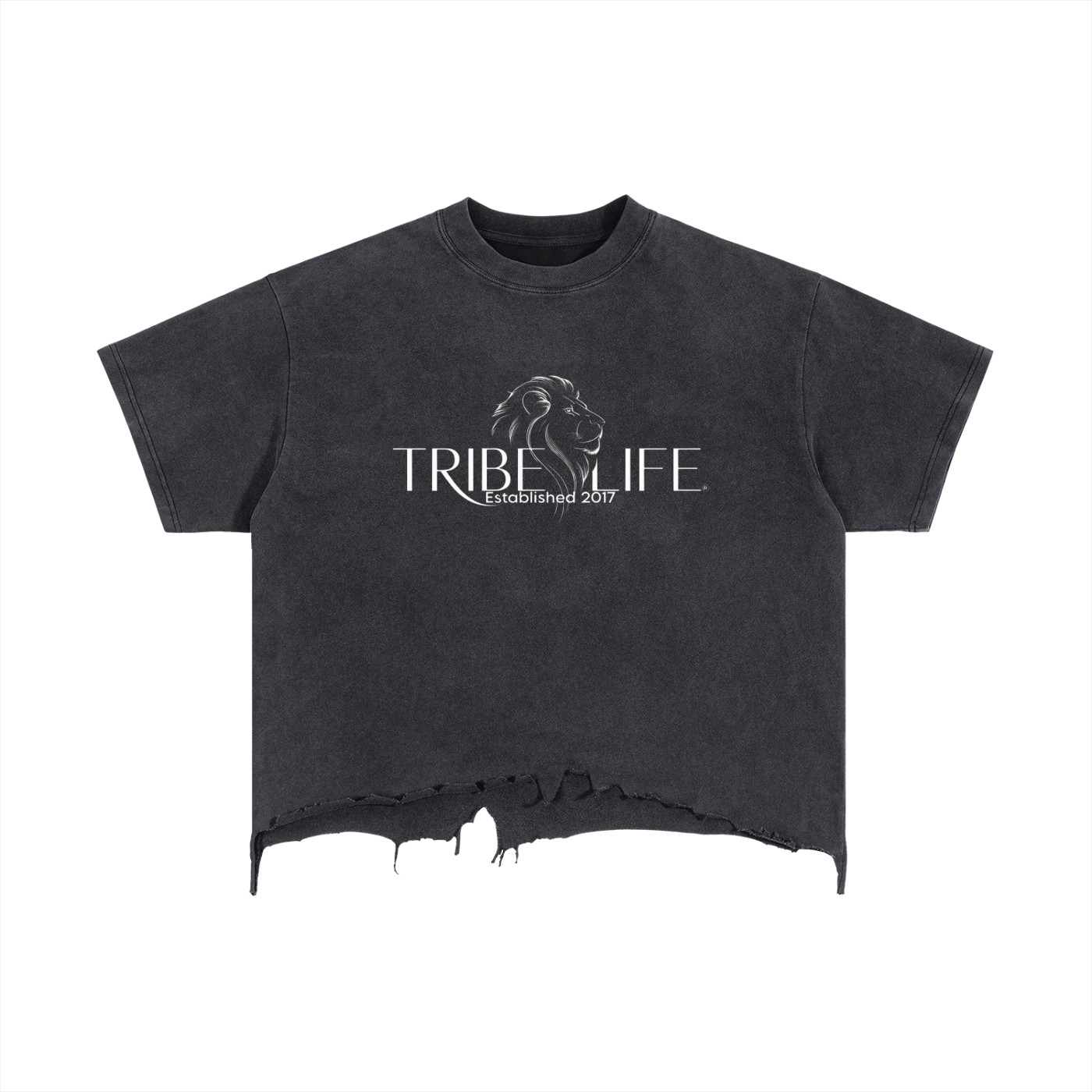 Vintage Wash Boxy Distressed Hem T-Shirt