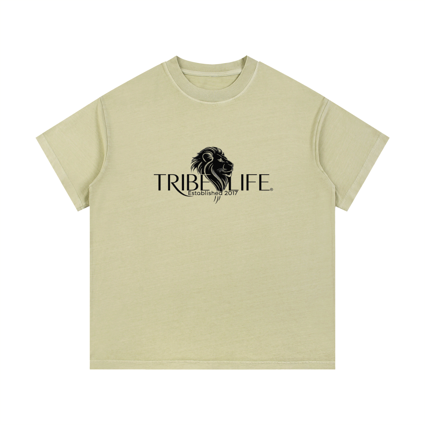 Vintage Wash Cotton T-Shirt