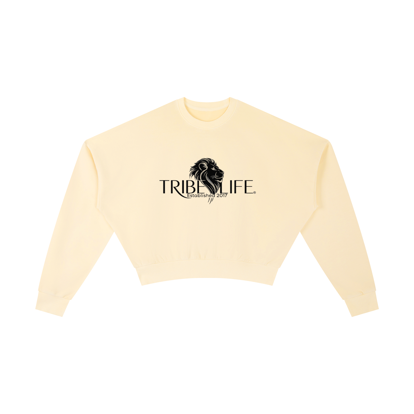 Vintage Washed Cropped Sweatshirt