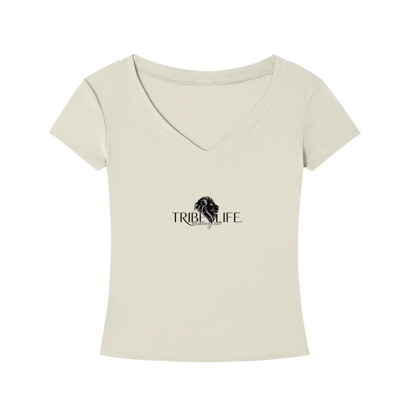 Tencel Slim Fit V-Neck T-Shirt