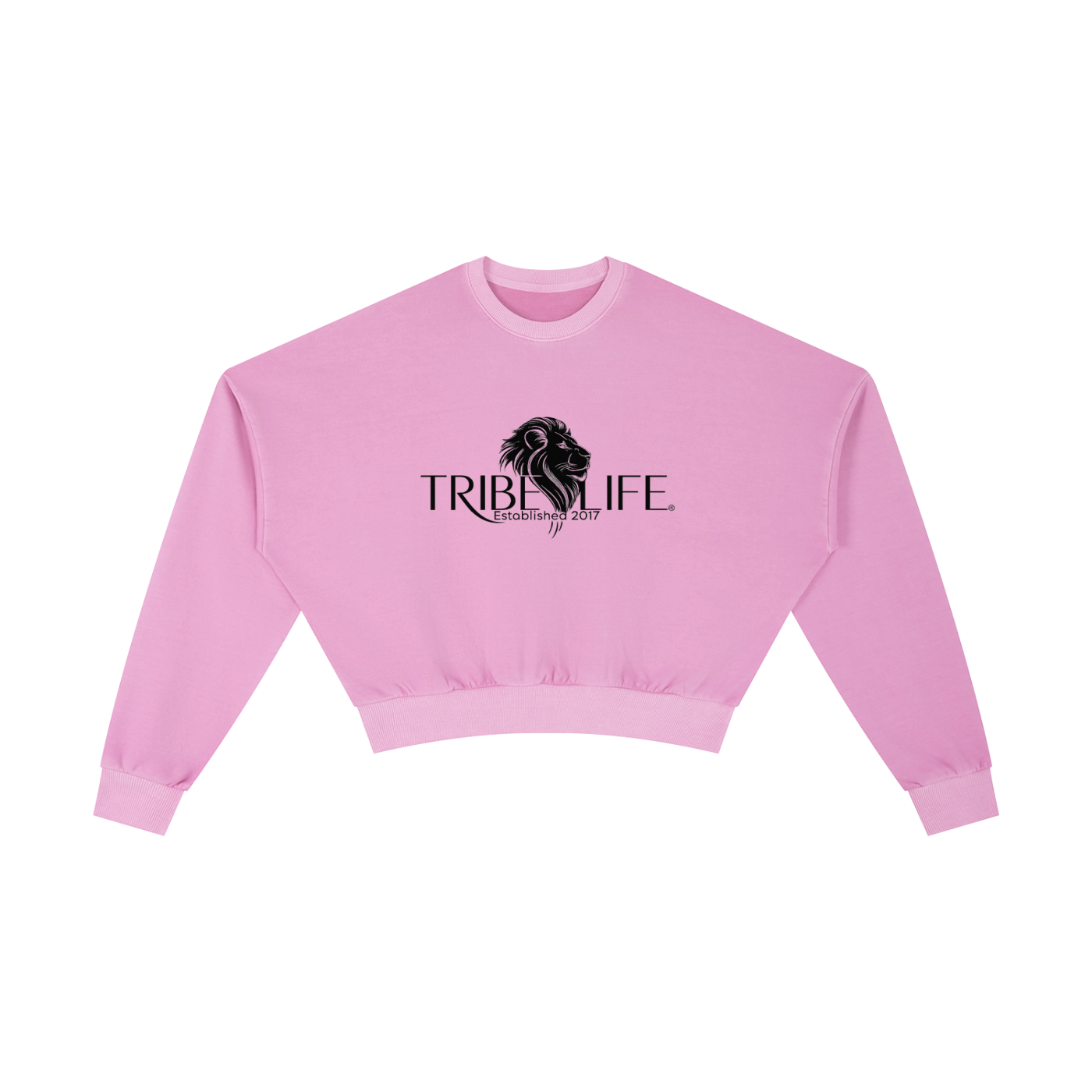 Vintage Washed Cropped Sweatshirt